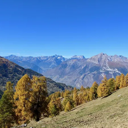 Appealing With Sauna *